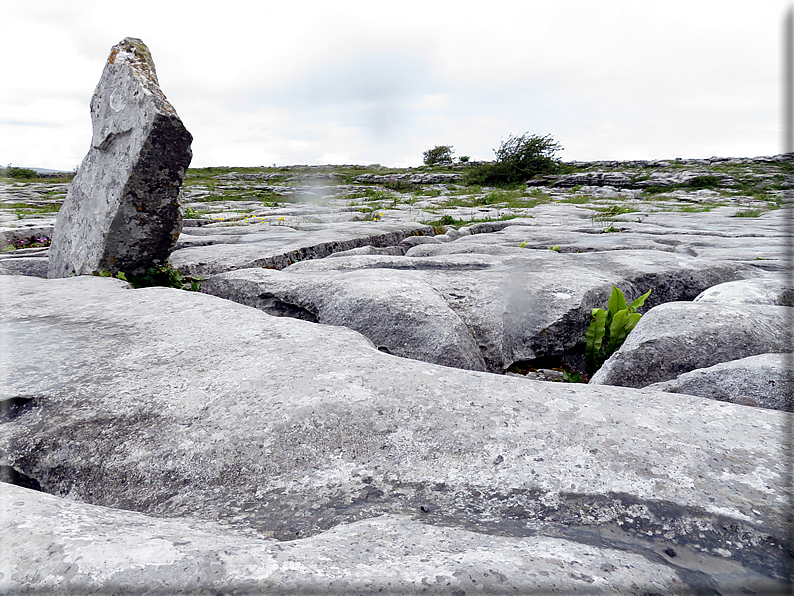 foto Parco nazionale del Burren